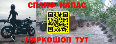метадон Будённовск
