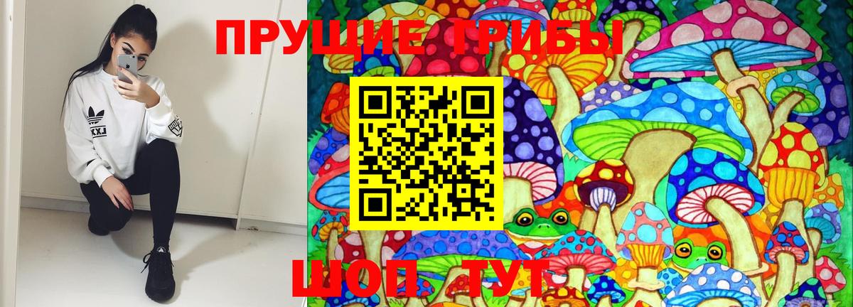 Вологда  Галлюциногенные грибы Psilocybine cubensis  Вход с VPN 